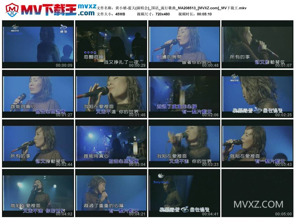 黄小琥-蓝天(演唱会)_国语_流行歌曲_MA208513